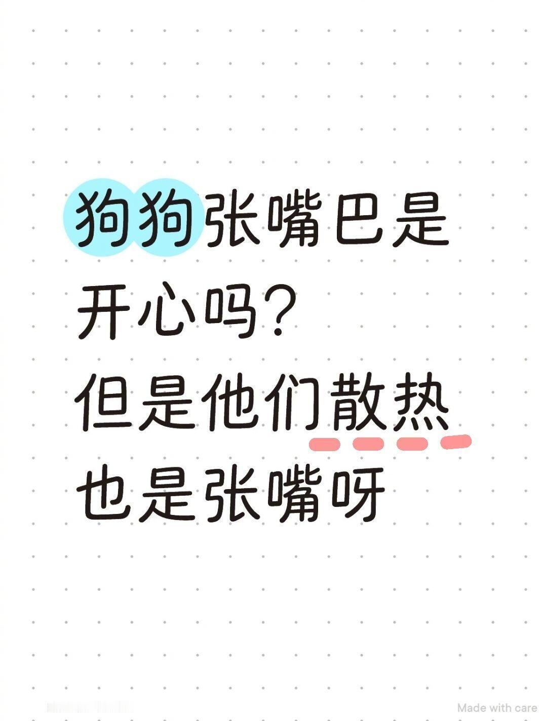 狗狗张嘴巴是开心吗？评论区好有意思[笑着哭]​​​