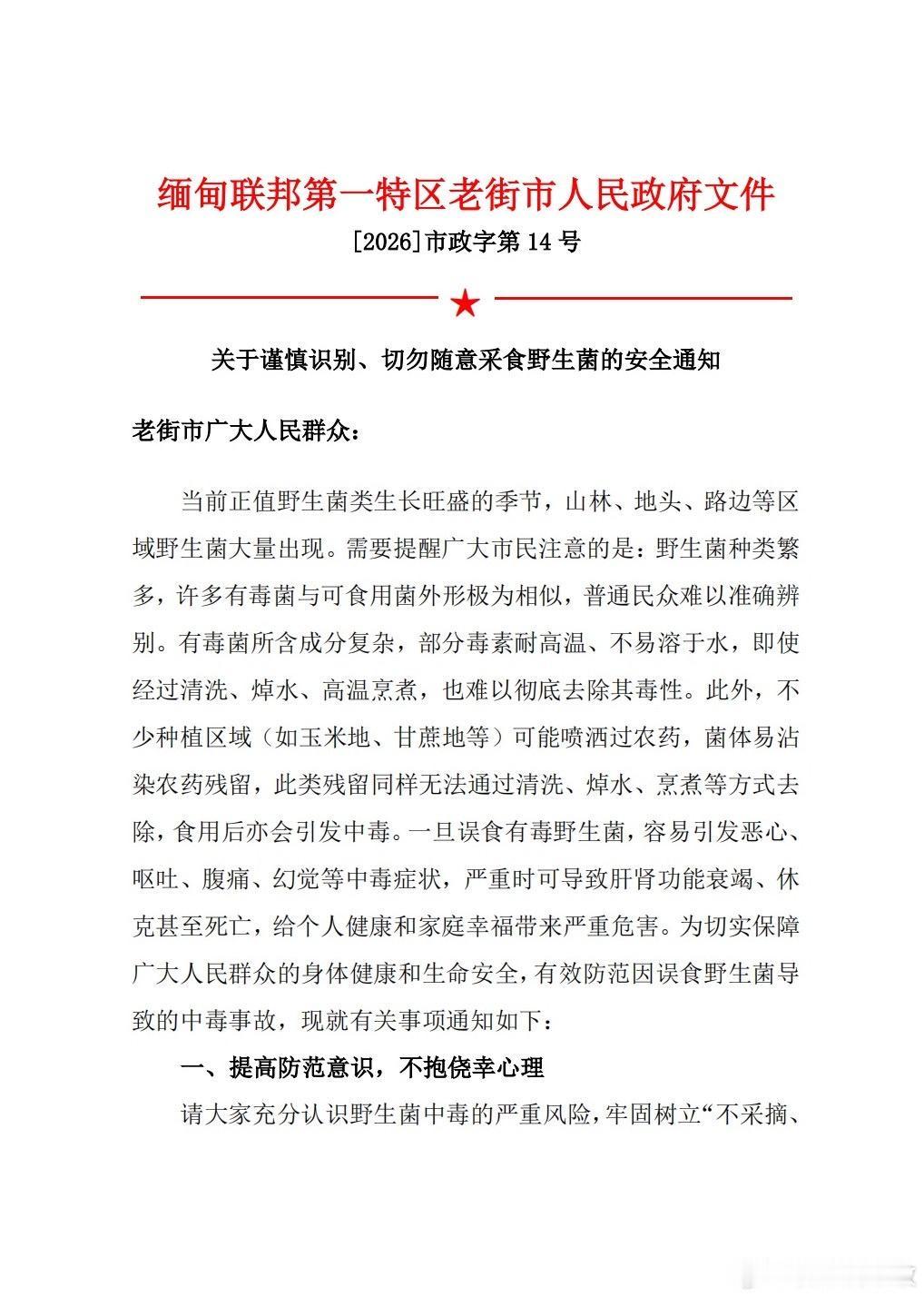缅北果敢地区也发野生菌注意事项！每年六月份，都是见手青疯涨的时刻，每年在云南