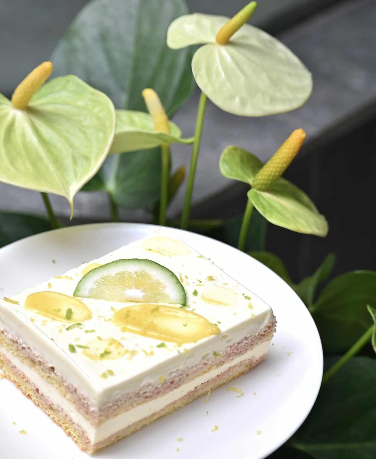 🐑：终于来了！柠檬提拉米苏！“Lemon”🍋提起夏天，好像第一时间浮现在