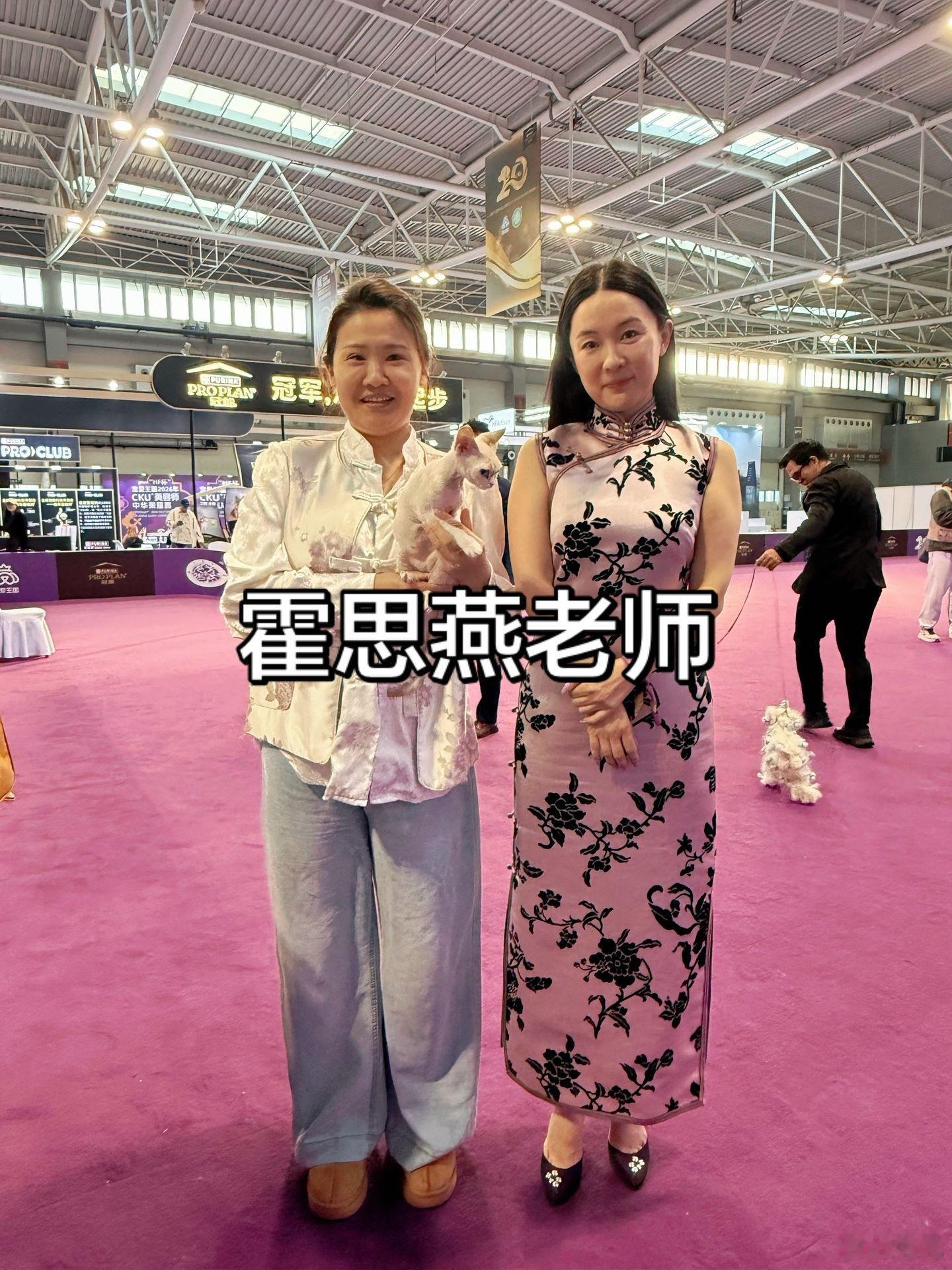 回到家的霍思燕老师发现天塌了！