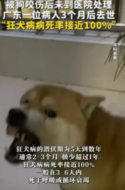 “心真大！”6月23号，广东一名男子被狗咬伤后并没有第一时间去打疫苗，结果过了5