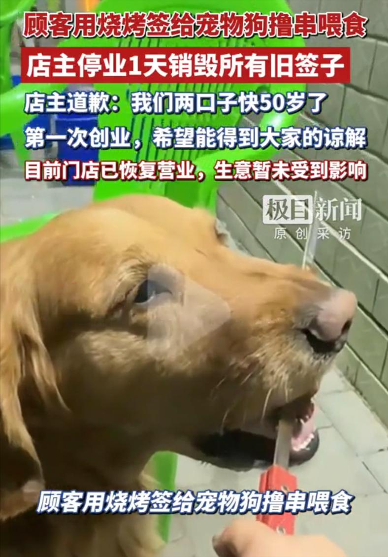 5月2日，内蒙古赤峰，顾客在烧烤店吃串时，竟用烤肉签子喂狗吃烤串，被人拍了视频发