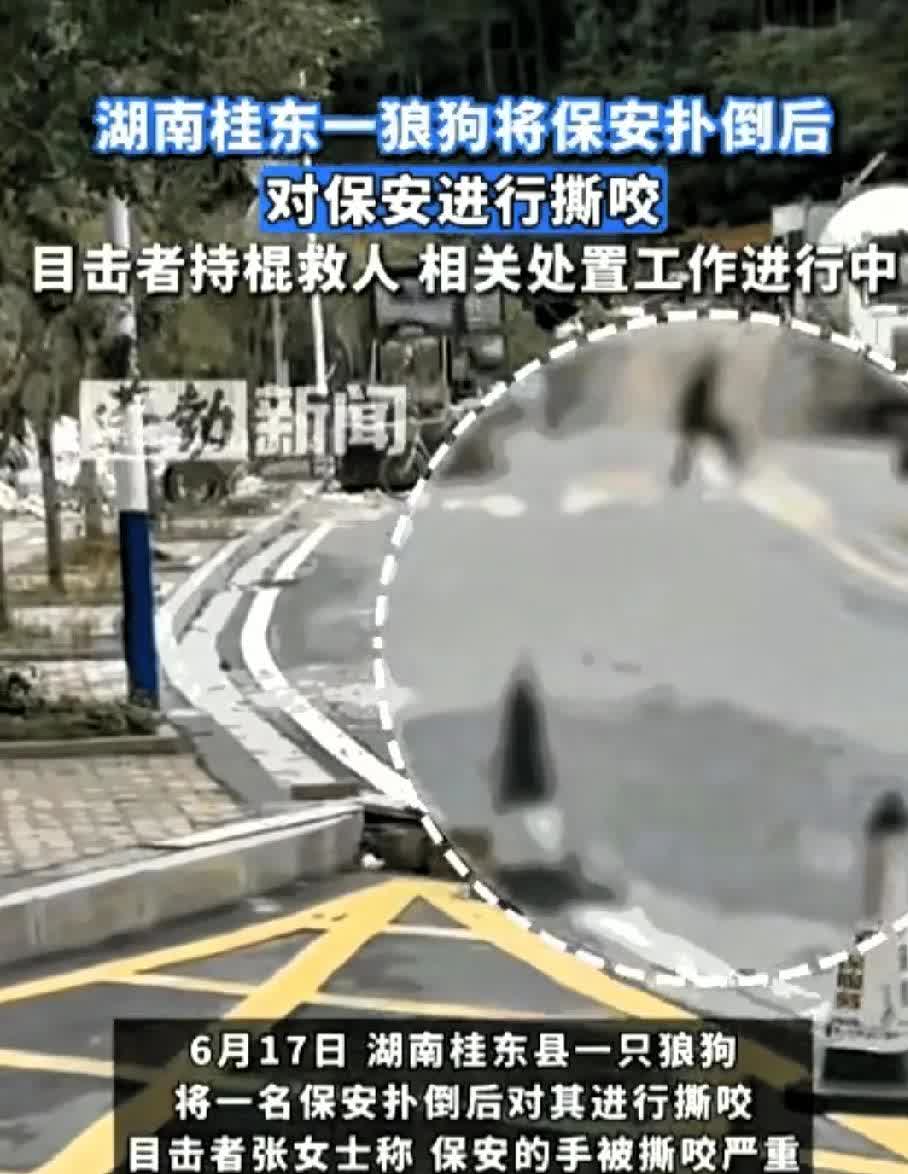 “当场击毙！”湖南街头这一幕，看得人后背发凉！男子倒个垃圾的工夫，竟被突然窜出的