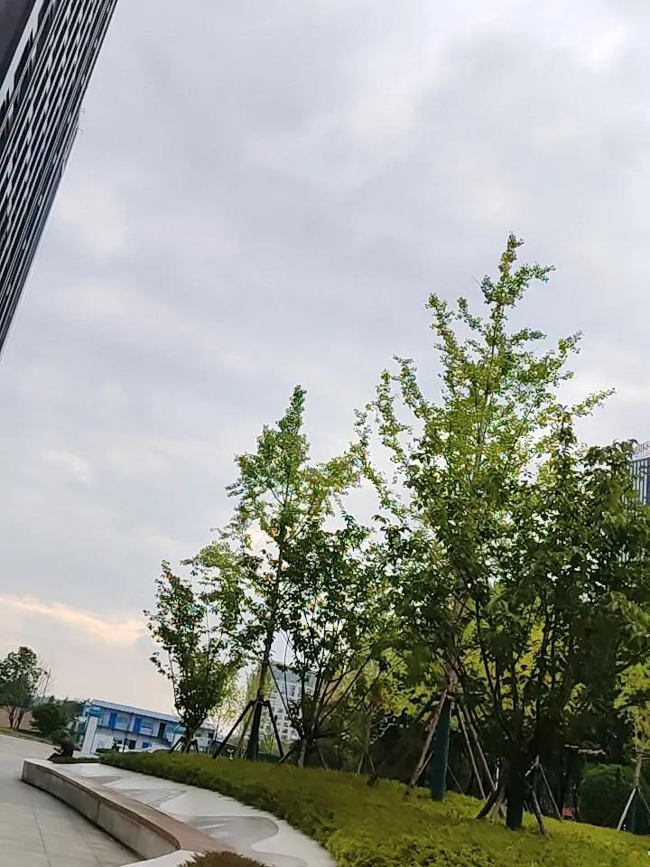 对于美联储的议息会议，不管是加息，还是降息，我们的内资机构，都是赢的。1，如果