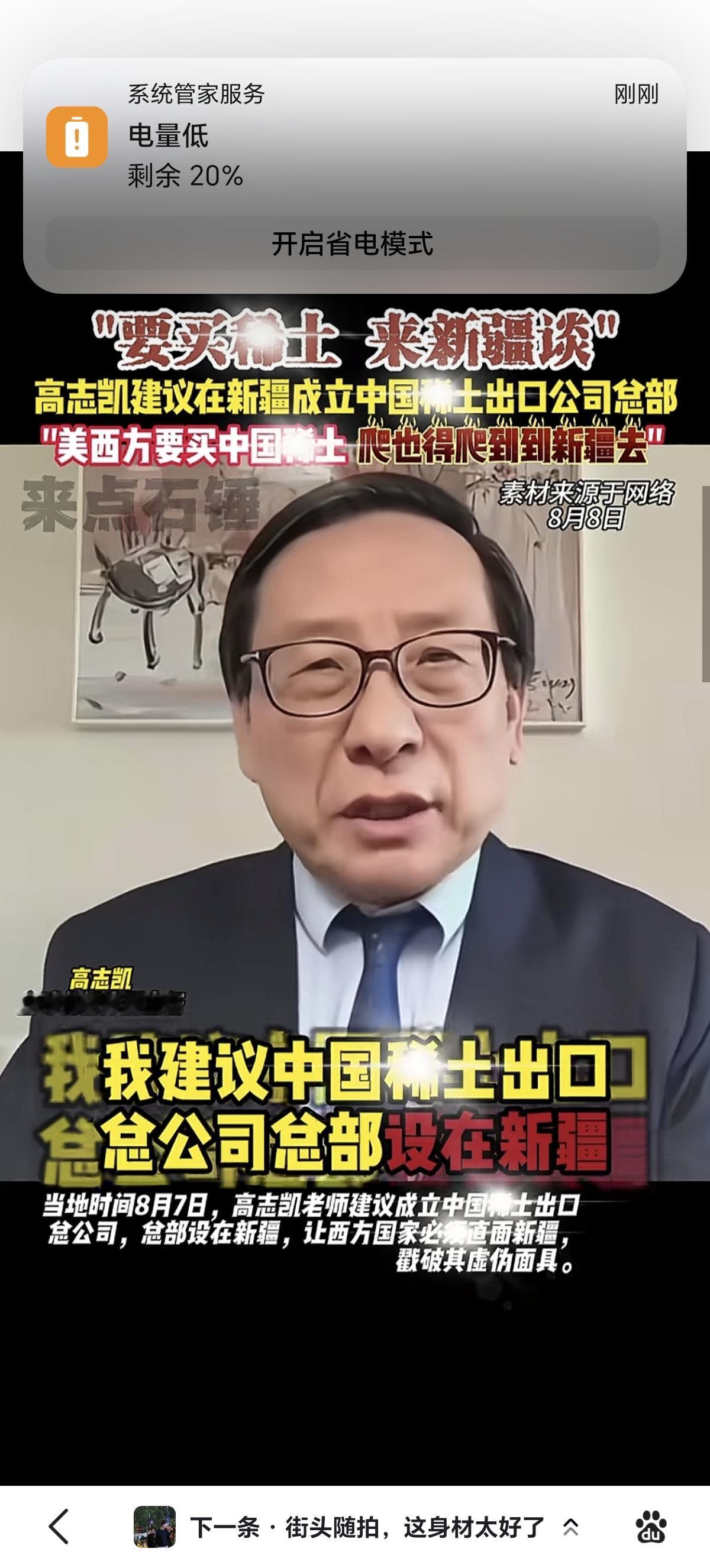高志凯教授建议成立中国稀土出口总公司，让西方爬着去新疆签合同