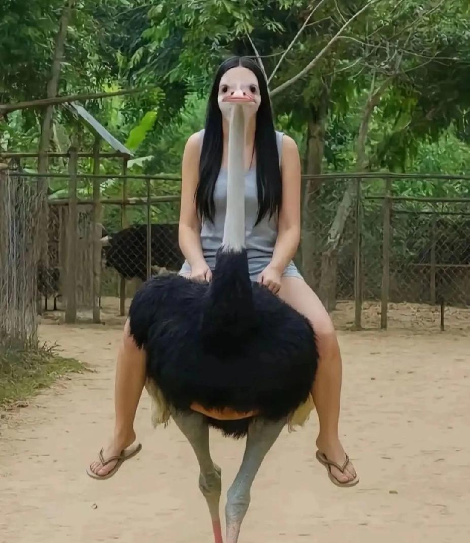 给老婆拍的照片，被骂了好几天，再也不敢拍照了