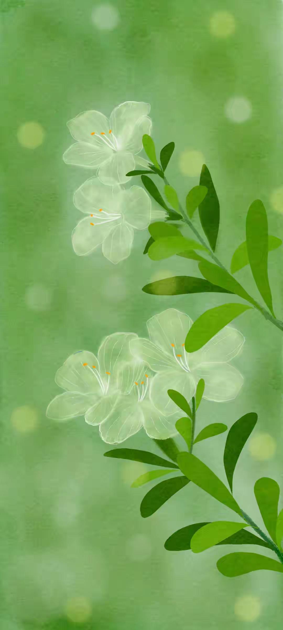 绿色系手机壁纸～满目青绿铺展成夏日独有的温柔光景，在浮躁匆忙的日常中，借一抹绿意