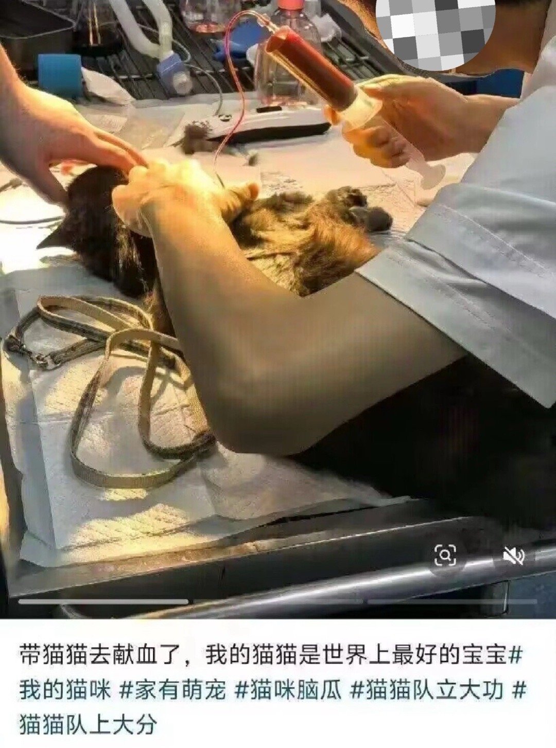 你们可真是人才，我勒个大🌿了​​​