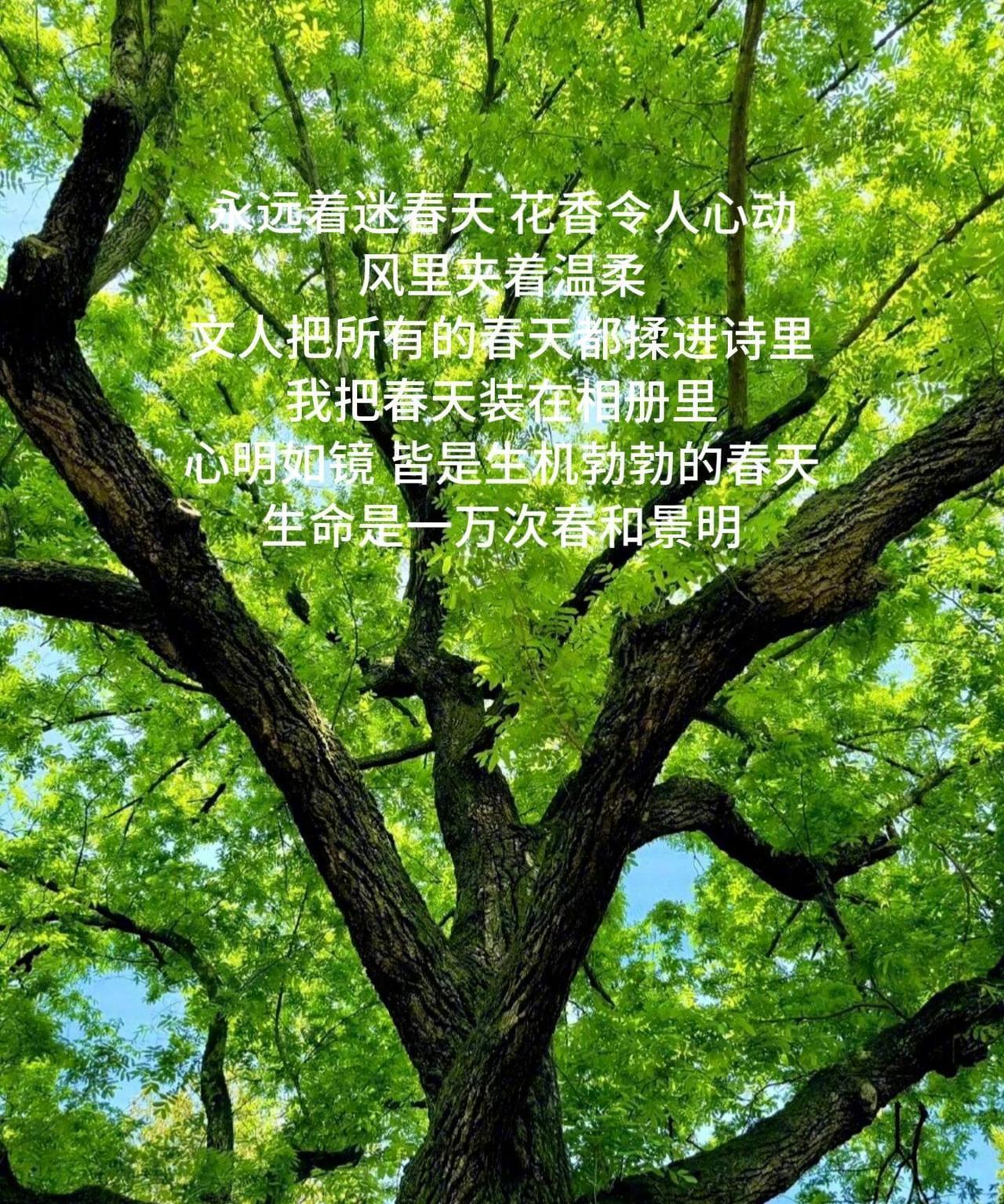 “人的生命更像是季节”