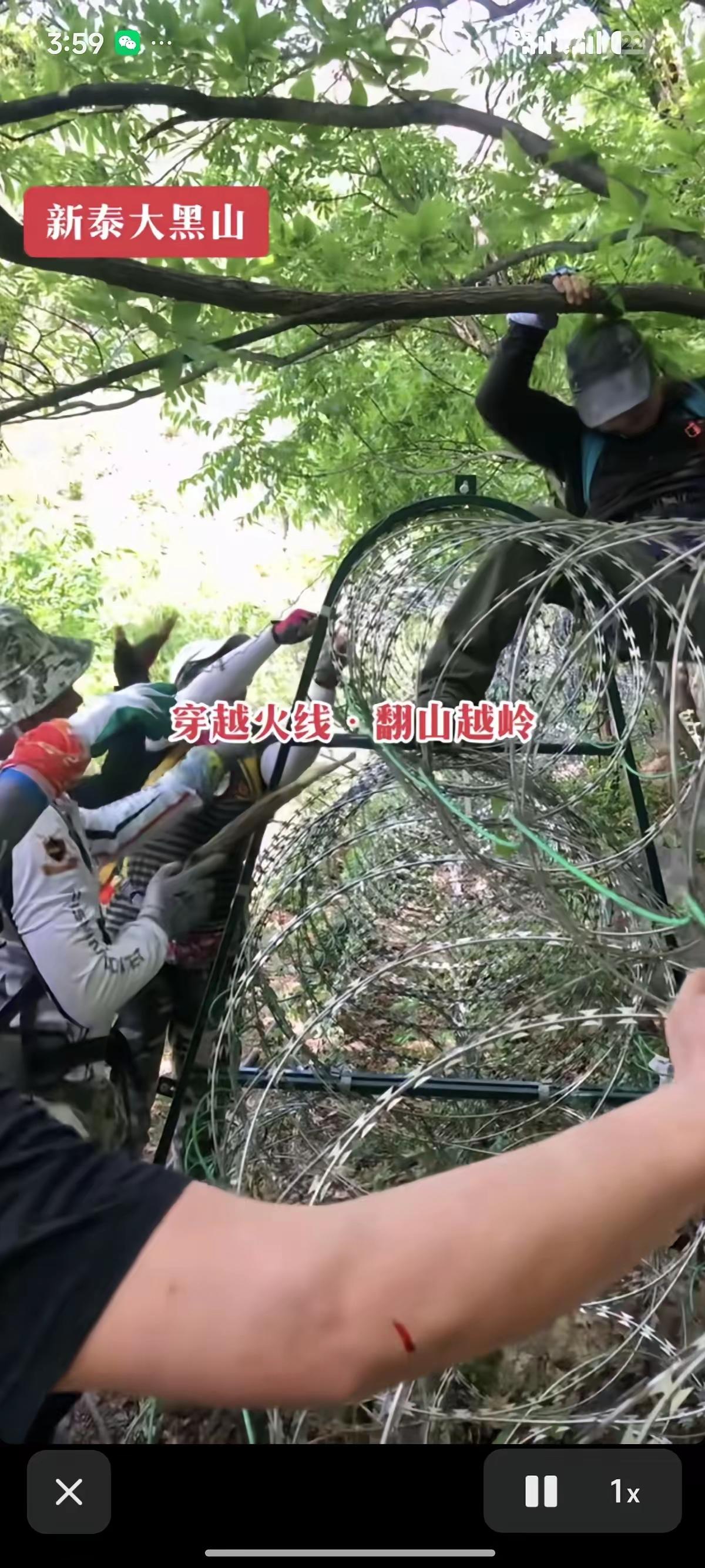 哇塞。这还是泰山吗？山脚下，设置了135公里的刀片刺绳铁丝隔离网。有人说是为了