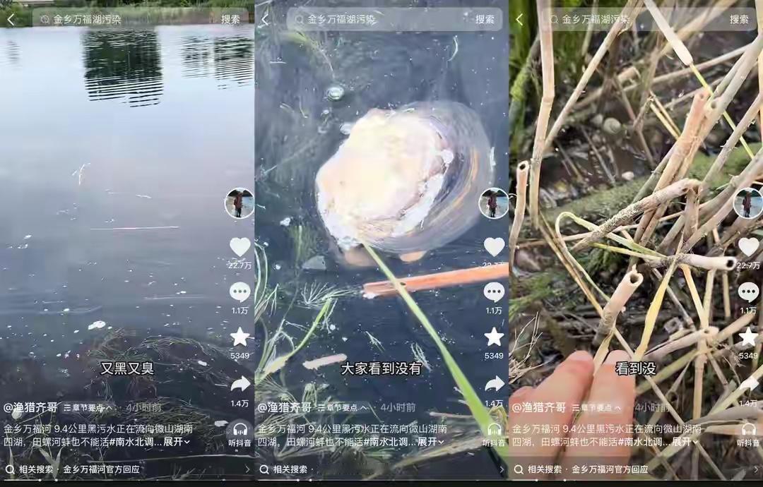 6月21日，短视频博主渔猎奇哥发布视频反映，山东省济宁市金乡县境内万福河段出现严