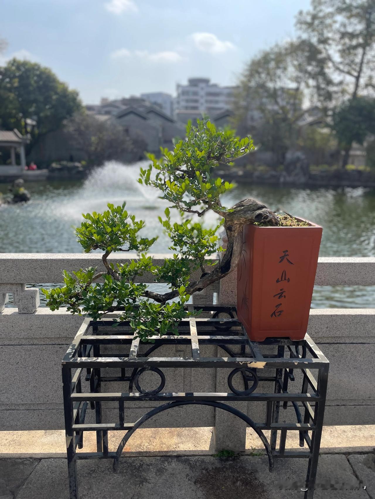 周末周边游，佛山梁园别错过！作为广东四大名园之一，梁园处处皆景。踏入园中，精致盆