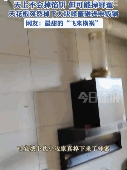7月17日报道，湖北宜城，一男子家中的厨房吊顶内，早已有蜜蜂筑巢。他此前虽听到异