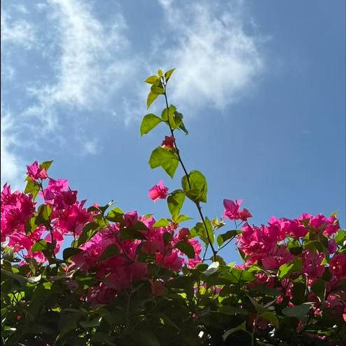 3个万亿级消费领域和10个千亿级消费热点  总量达到了4万亿  中小微企业“