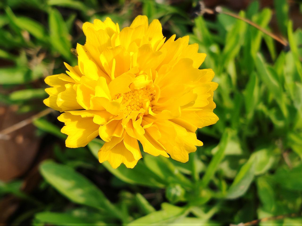 不止损、不断补仓，死扛到底。到底有多可怕！2020年11月，我以43.58元