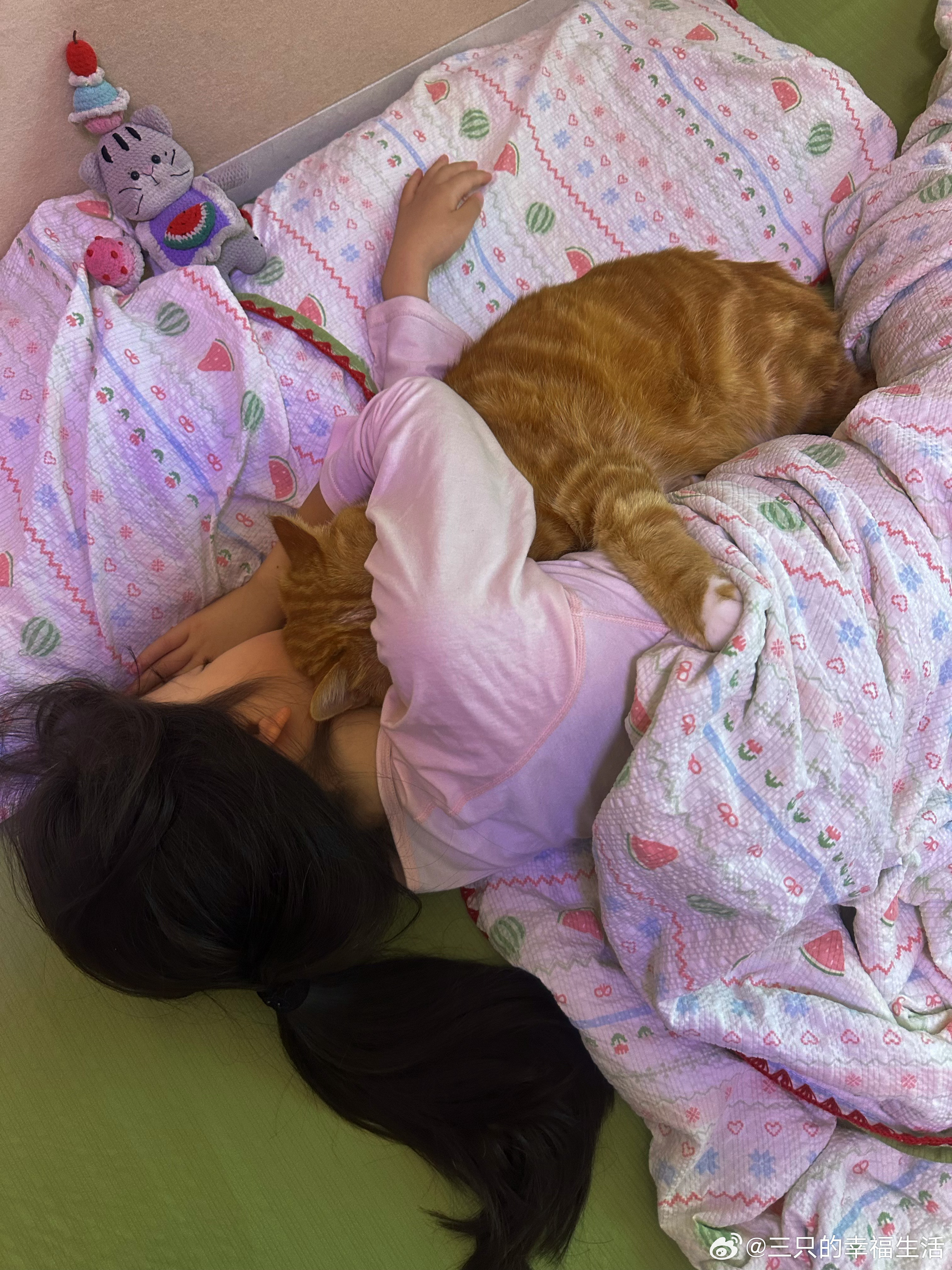 咪很有安全感的睡法猫