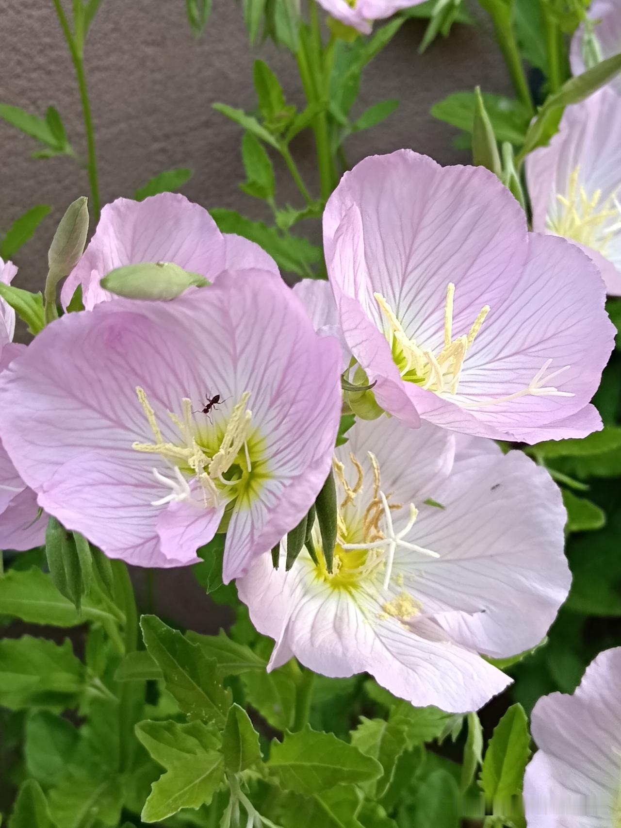 旺自己的玄学提醒：1.偶数扣子的衣服，尽量别穿。2.熟人的生意，可以“