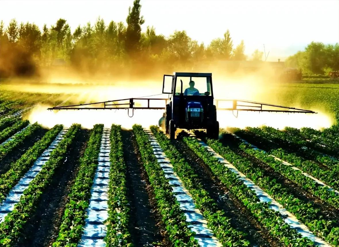 月销10万的“拆袋即炒”鲜切菜，是懒人福音还是智商税？背后真相扎心了你是否