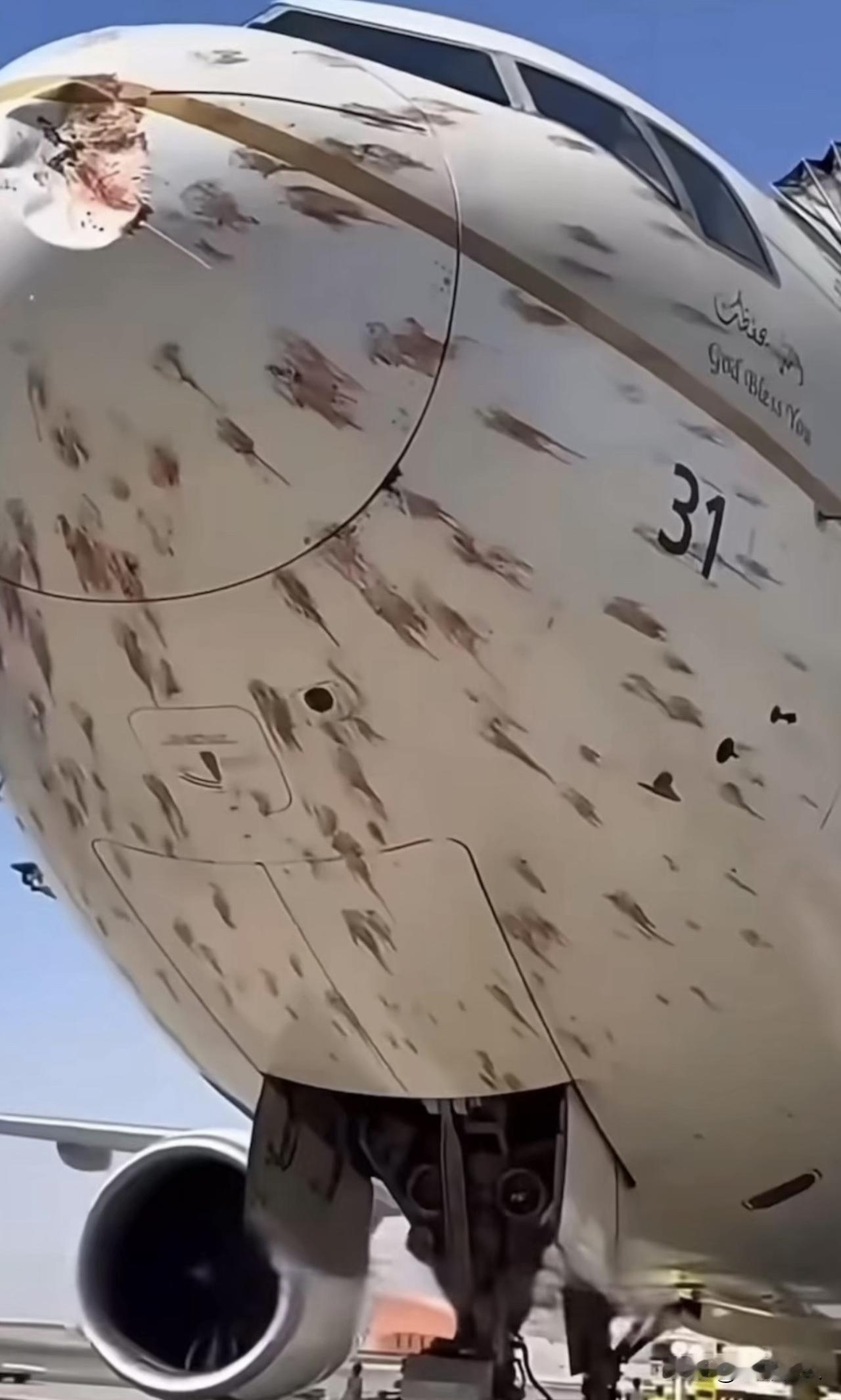 这就是飞机，被小鸟撞击后的画面。有好奇网友问：为什么不给发动机装个网罩，直接
