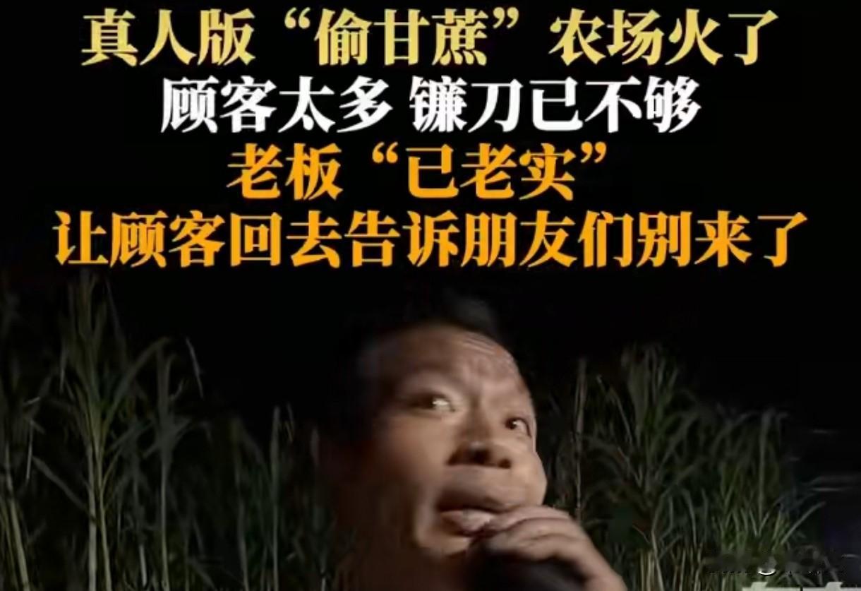 眉山老板急得让顾客骂自己！9.9元偷甘蔗咋就火到要“劝退”？咱说这四川眉山