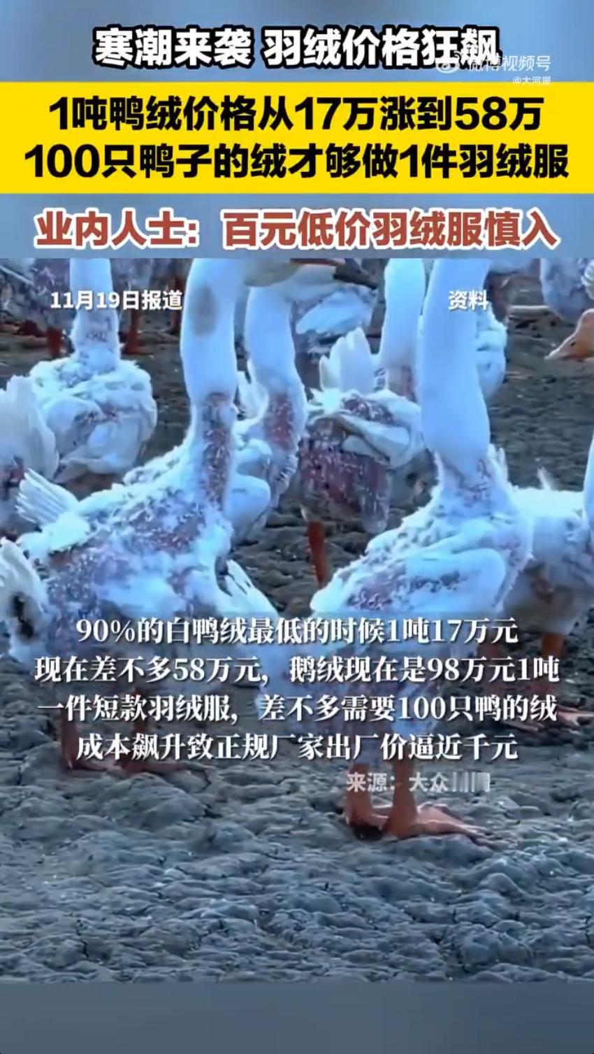 最近大家逛商场或者刷购物软件，肯定都发现羽绒服越来越贵了，甚至有消息说正规厂家的