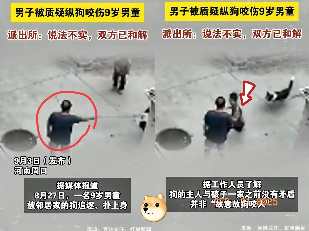 这男的到底安的什么心？手牵狗绳却故意撒手，居然看着大黑狗扑咬9岁男孩！刷到河
