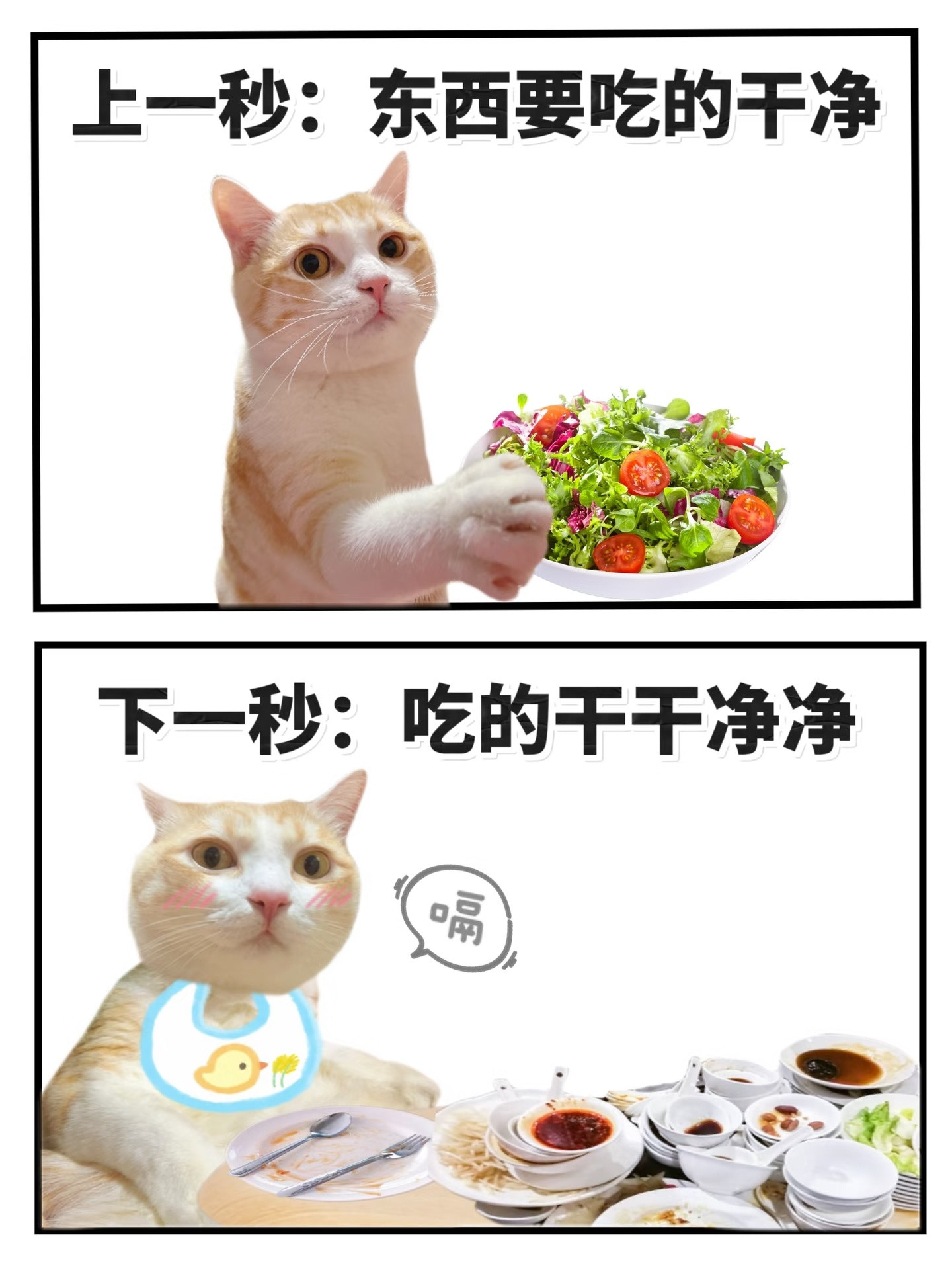 医生提醒切莫盲目效仿艺人节食减肥中年人减肥为什么容易反弹艺人的减肥方法是最没参考