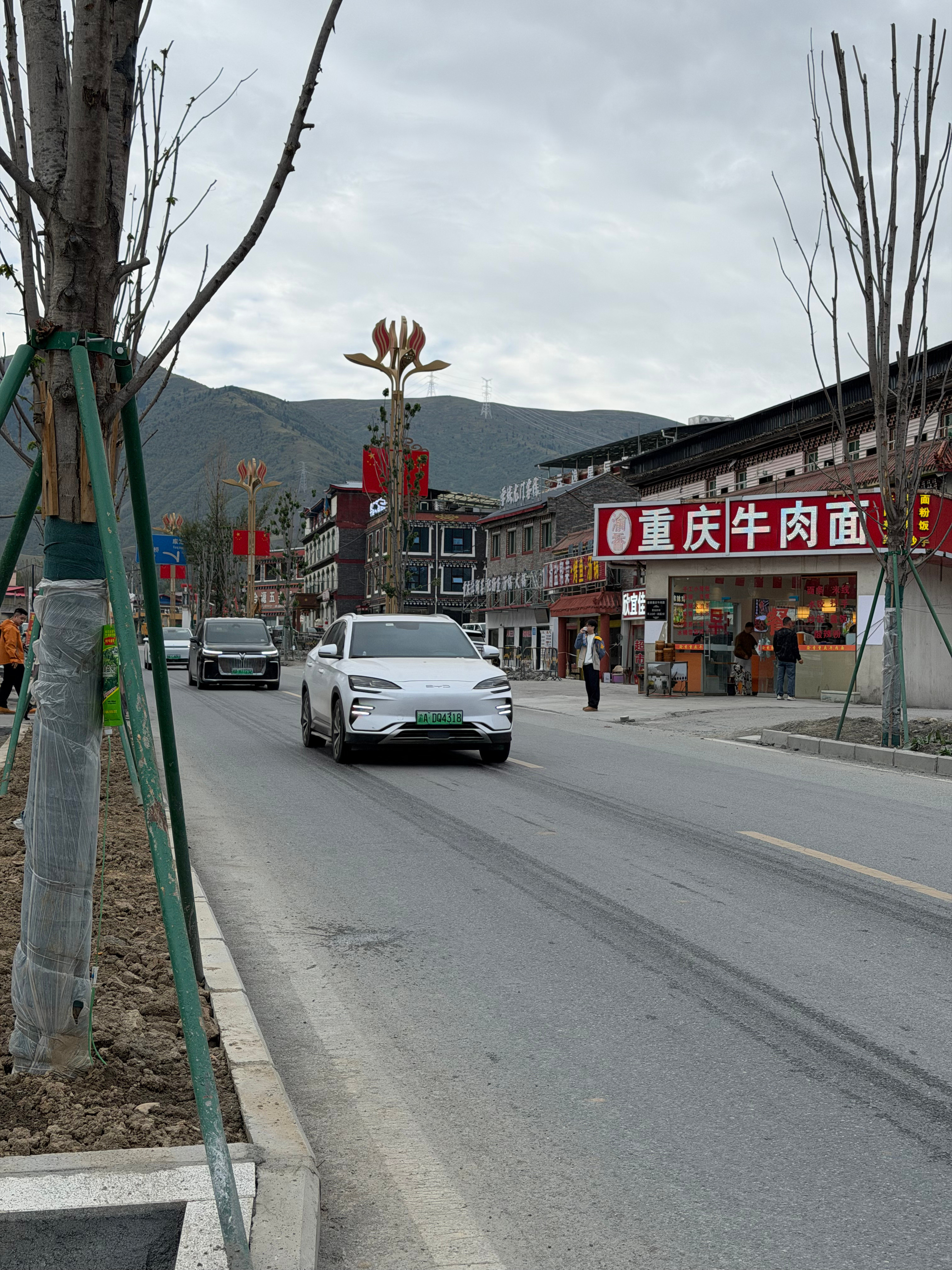 318上迪子的车越来越多了，不仅仅只是方程豹，过条马路都能碰到好几台[捂脸哭]​