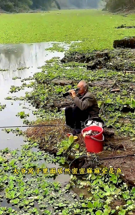 仔细看，大爷钓鱼不讲武德，钓这么多居然连鱼护都不用。可你不知道的是大爷的鱼护