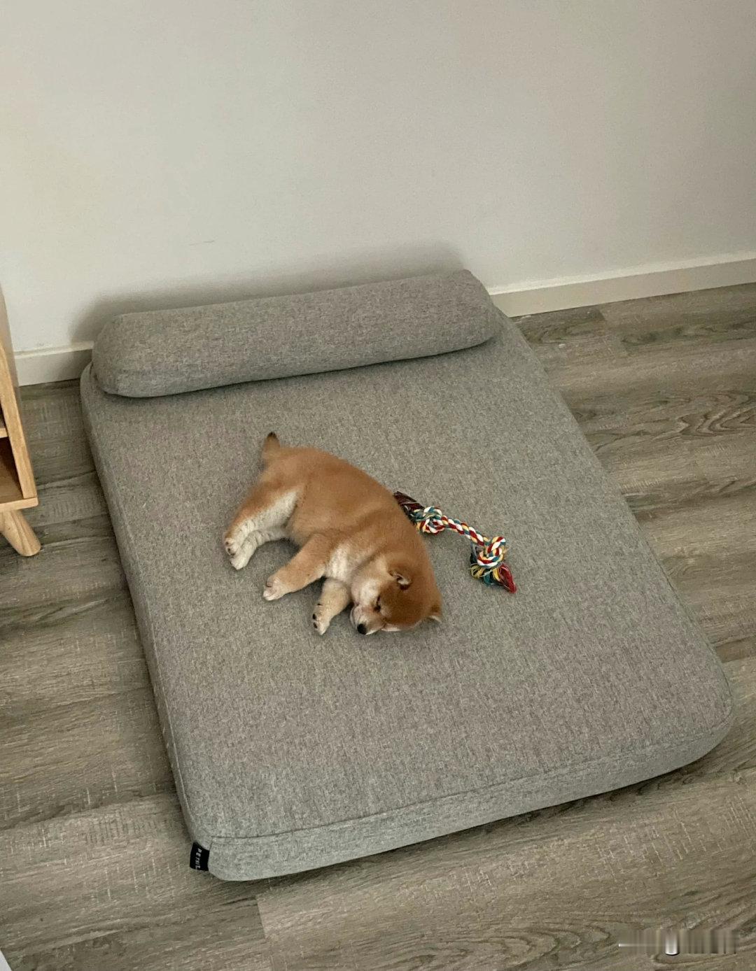 床确实买大了～