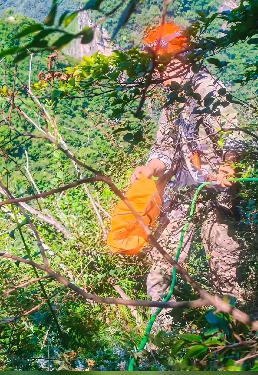 南太行程梦圆，遗体找到了，没有奇迹！在张良垴山崖，距民宿直线不到1.5公里，
