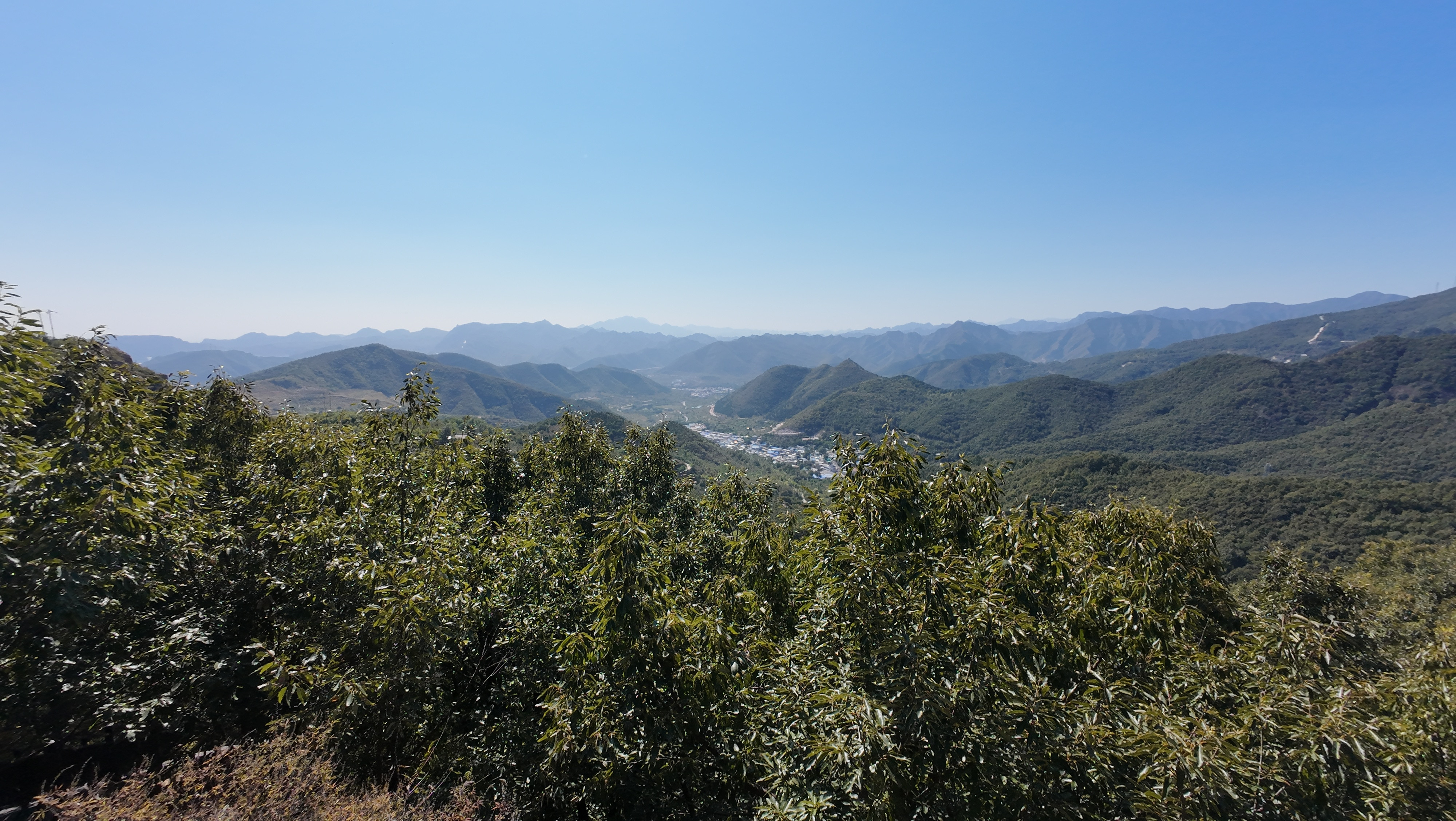 先有潭柘寺，后有北京城#8km徒步##摄影#​