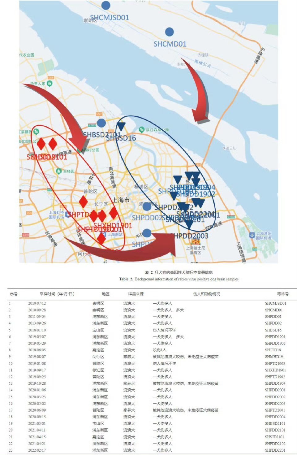 北京海淀现多只流浪狗追咬骑行路人¹抖音评论区都是当笑话看。可悲可怜。每年大城市