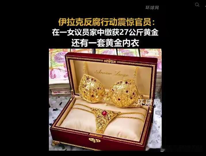 伊拉克反腐部队冲进女议员阿巴西家的时候，搜出来的东西把在场的人都给看傻了。570