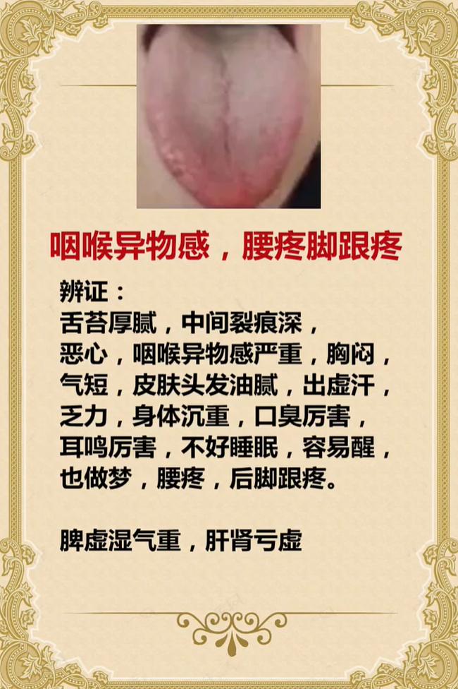 胸闷乏力还耳鸣失眠，根源多是脾虚湿气重兼肝肾亏虚