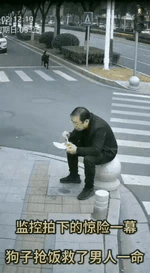 你敢相信吗？一份价值不到25块钱的排骨饭，竟然在众目睽睽之下，成了一位老哥的“免