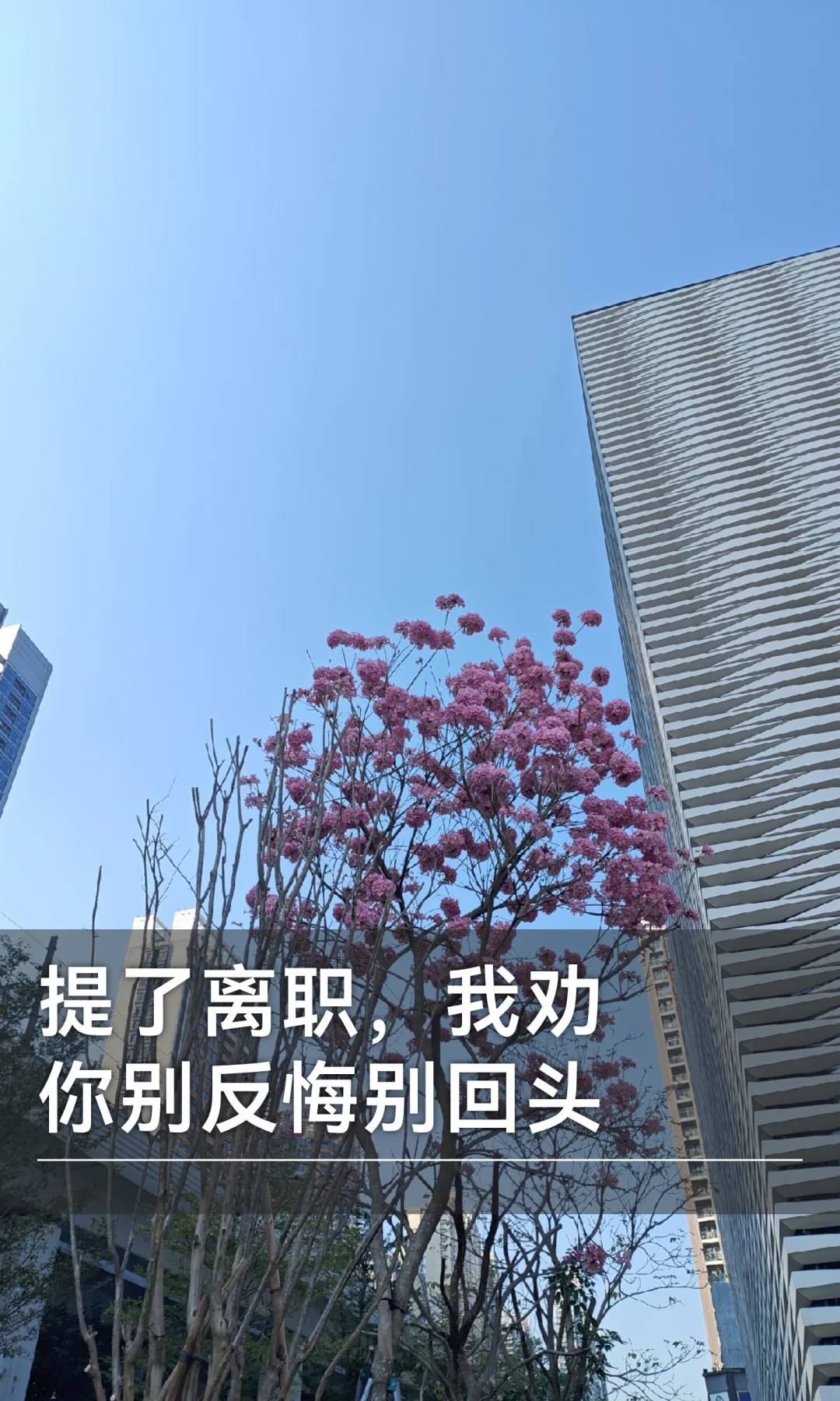 提了离职，我劝你别反悔别回头