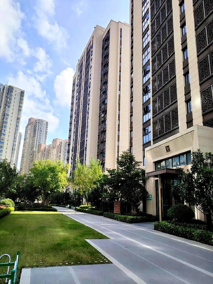 午饭吃到一半，中介消息炸过来：楼下同户型，50万成交。我差点噎住。80万买的，现