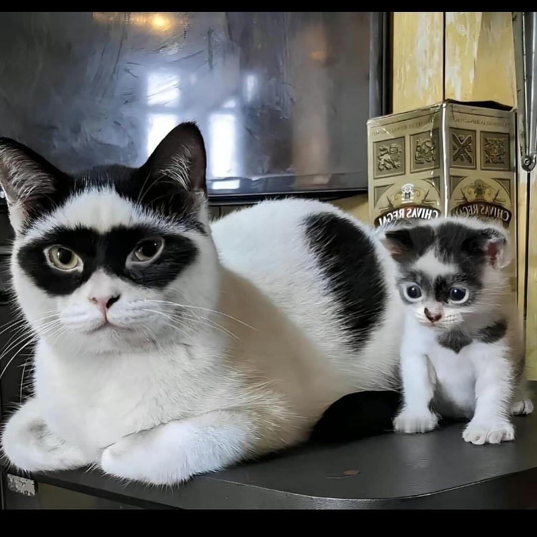 一看就是亲生的