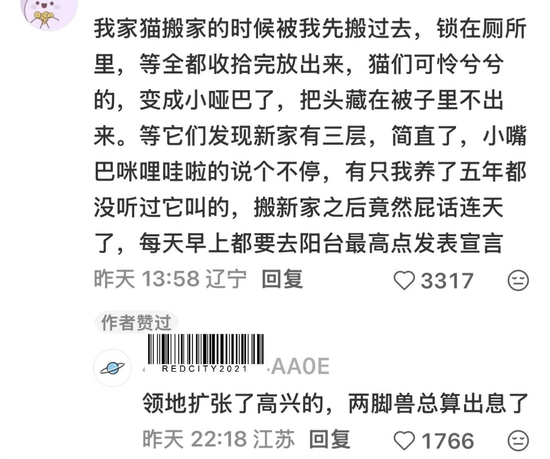 有🐈姐妹们我们有赚钱买大别野的动力了！​​​