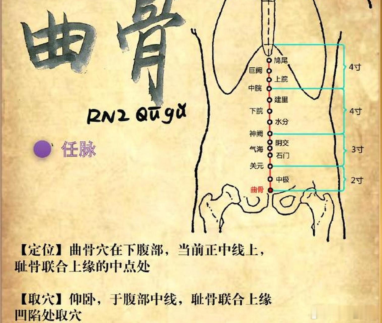 摸腹股沟，感知你的肾气足不足一个特别有意思的自我感知方式，就是沿着腹股沟去探寻脉