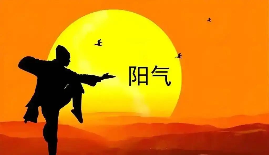 什么是阳气？很多人认为阳气就是身体的热量，实则不然。在中医里，阳