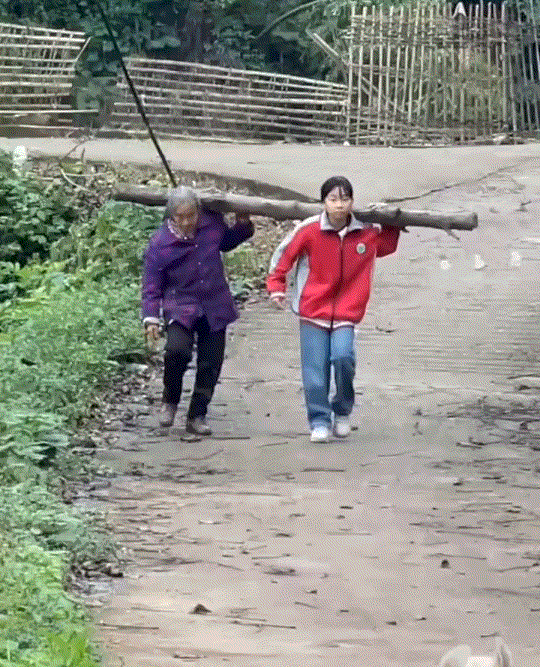万万没想到，奶奶和孙女扛着一大木柴，脚步沉重的往家里走，这家中狗子见到奶孙俩后，