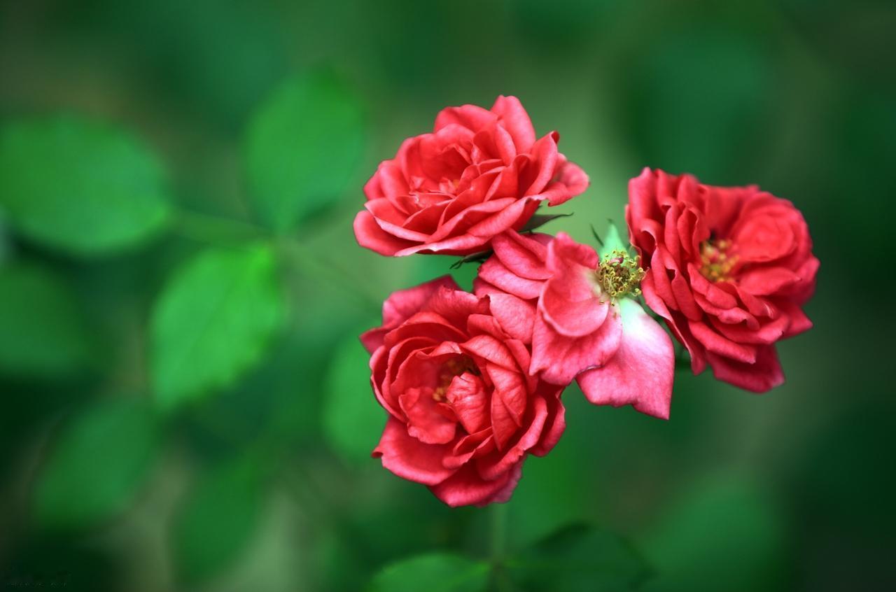 去阅历，去做你想做的，去选你爱的，而不是他人眼里正确的，你的一辈子应该为自己而活