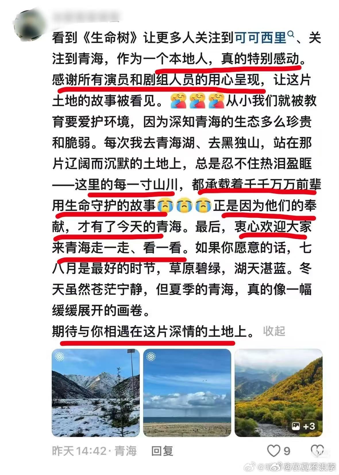 这就是生命树的意义全网寻找白菊把对土地的共情融进创作，用真诚打动观众，这便是生