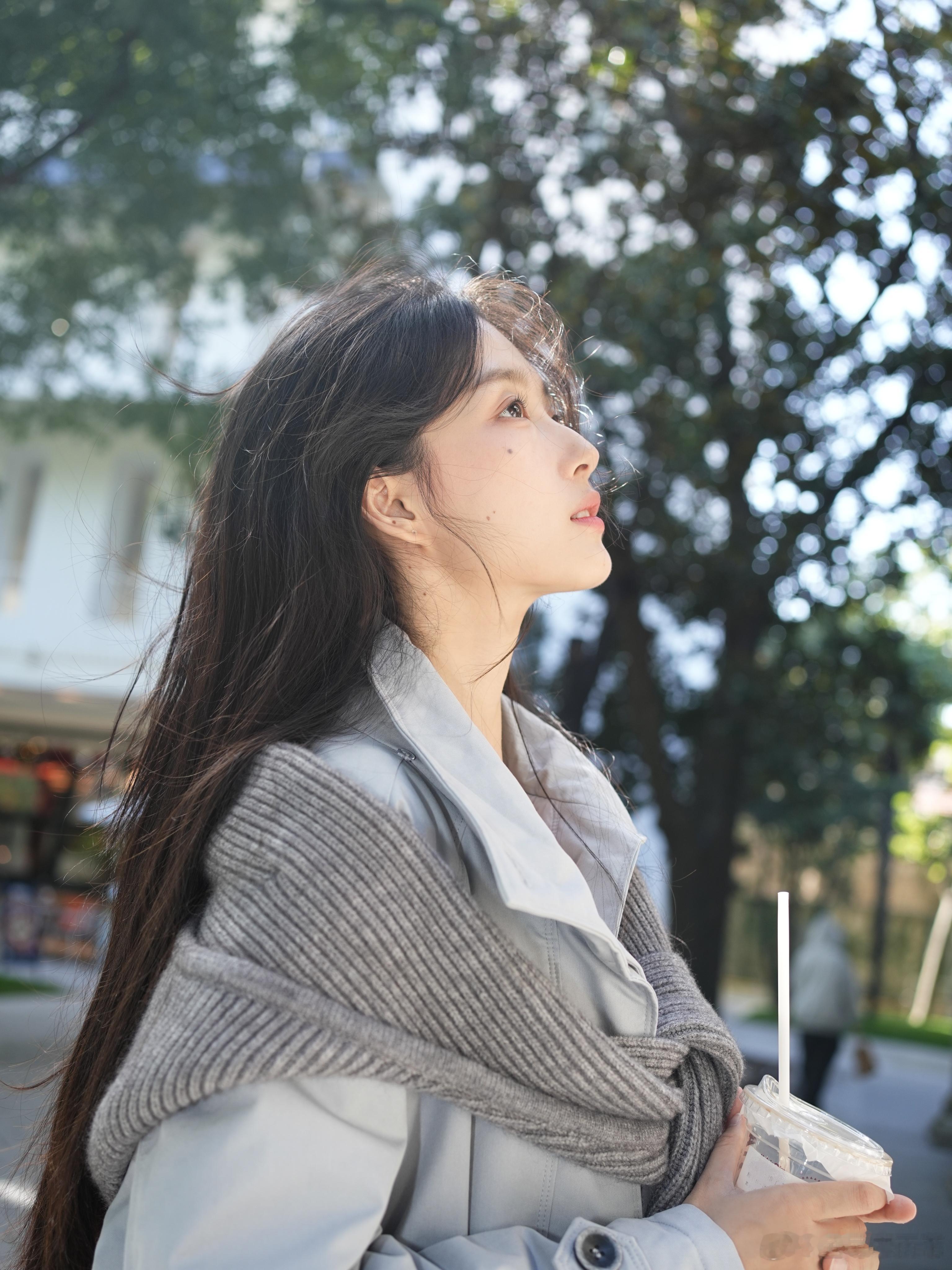 都11月了，叶子怎么还这么绿