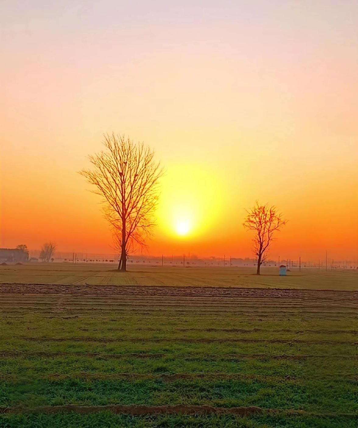 离春节还有两周，我被通知裁员了，人到中年，基本已经找不到相对体面的工作了。什么