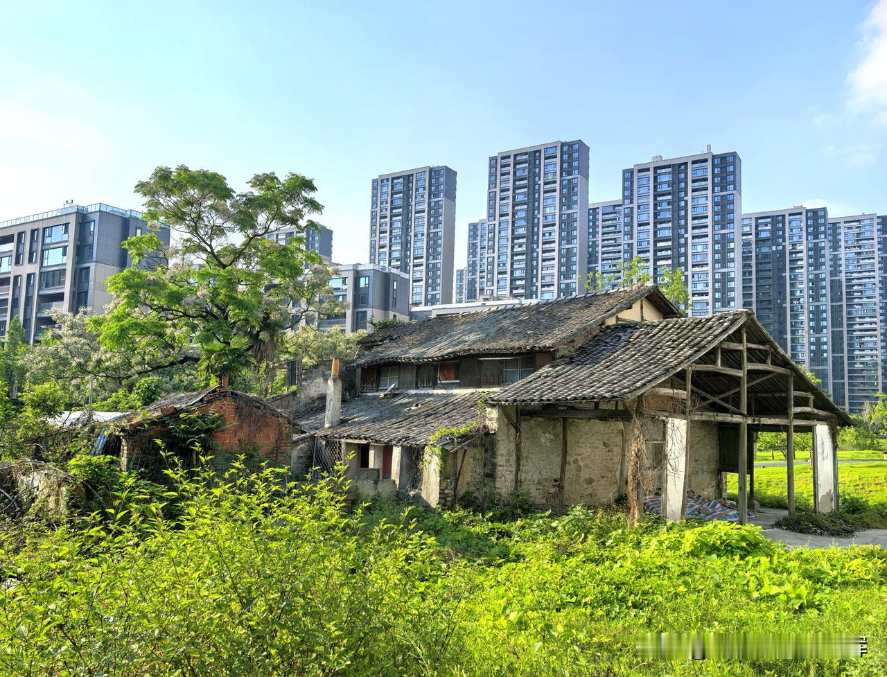 这是城市建设中一道特殊的风景：一栋被废弃的老屋，作为不肯拆迁的钉子户，被完整地保