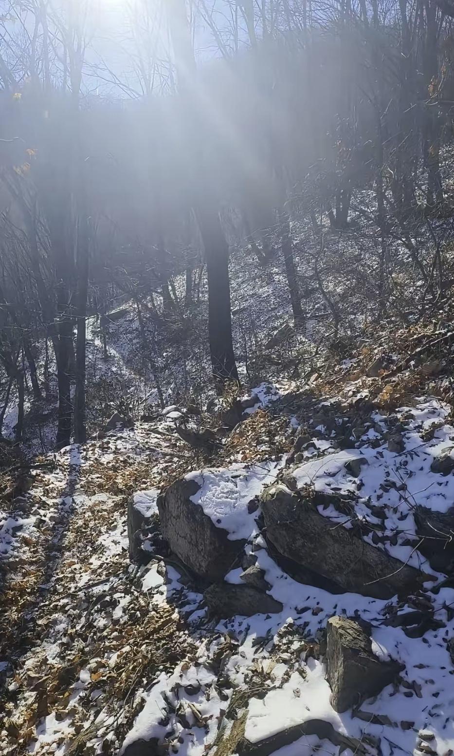 那天朋友在群里聊起他一个62岁的老熟人。这阿姨退休金六千，每月固定三千花在买衣服