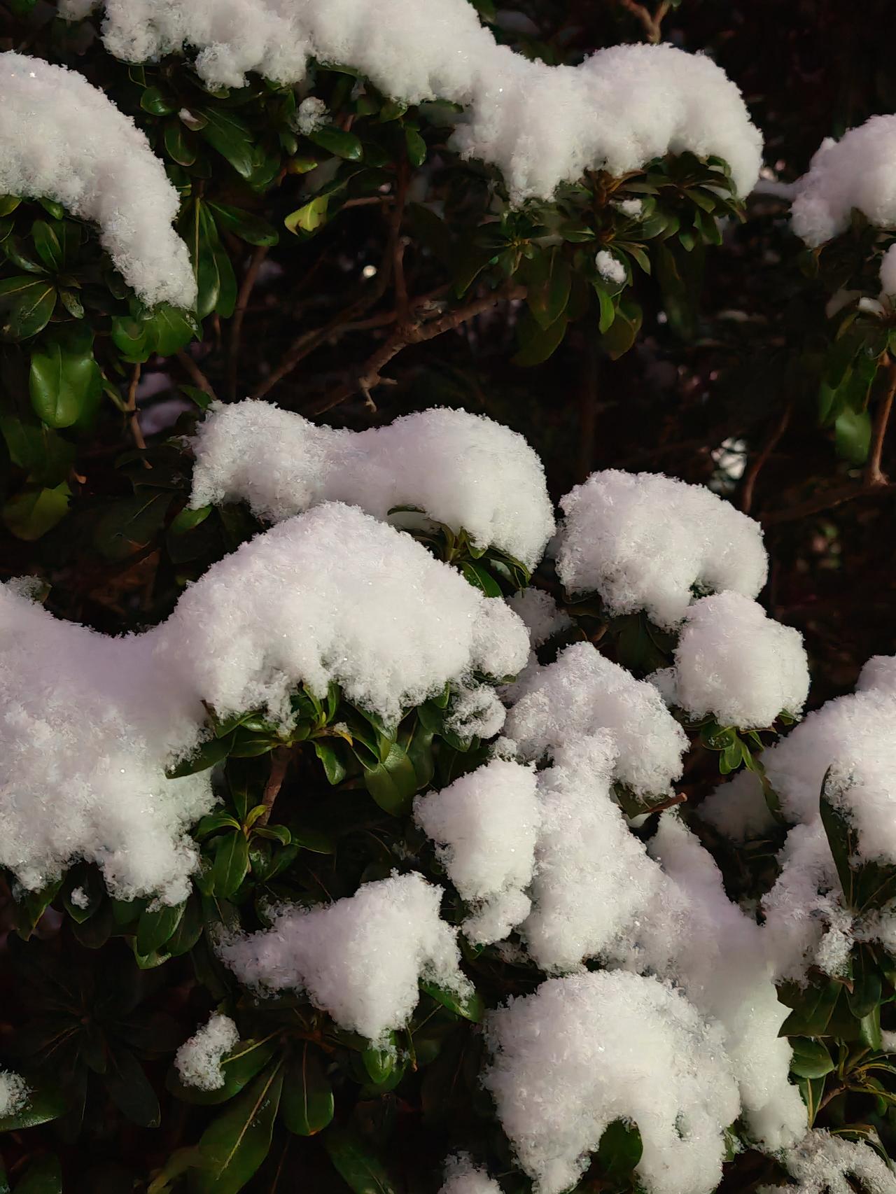 消灭曹魏后，东吴不归附，就武统邓芝作为蜀汉使者，多次到吴国拜会孙权。两人